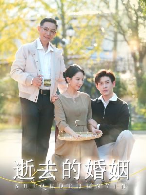 逝去的婚姻（60集）无需会员轻松看