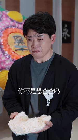 破晓的正义回声（48集）360网盘观看